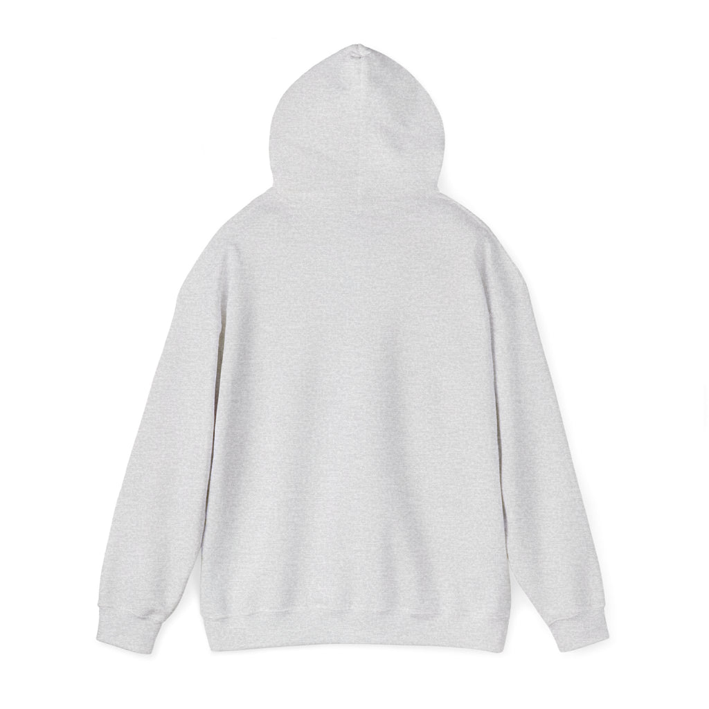 MW Gildan Hoodie 10+ Colors