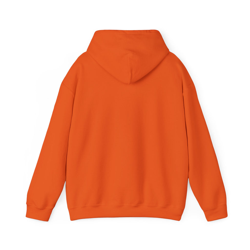 MW Gildan Hoodie 10+ Colors