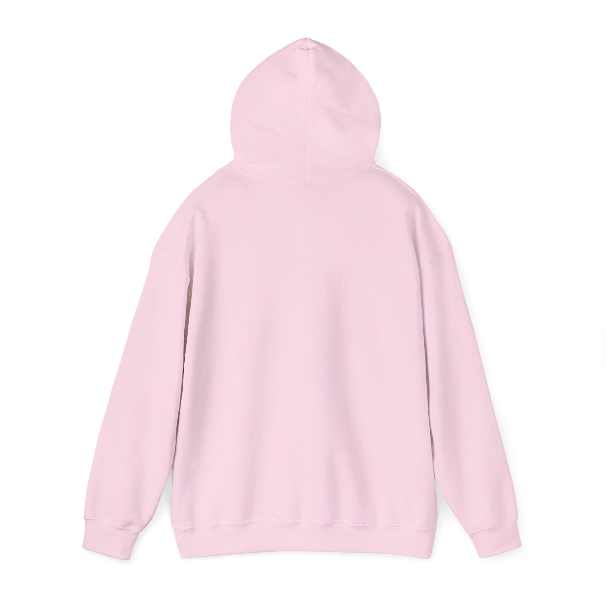 MW Gildan Hoodie 10+ Colors