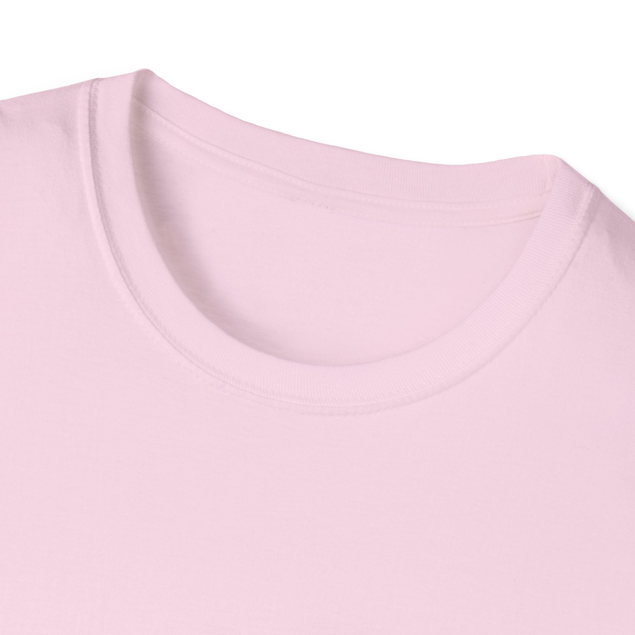 MW Skeleton Softstyle T-Shirt