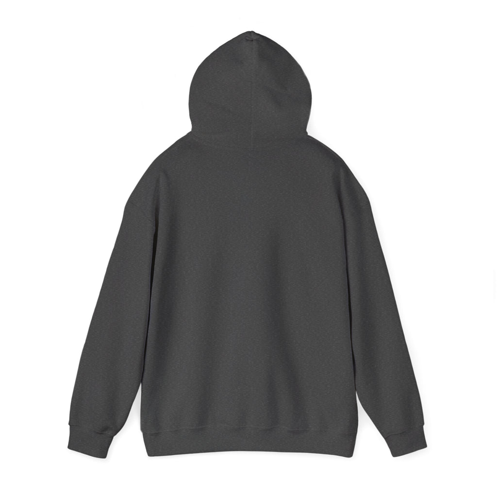 MW Gildan Hoodie 10+ Colors